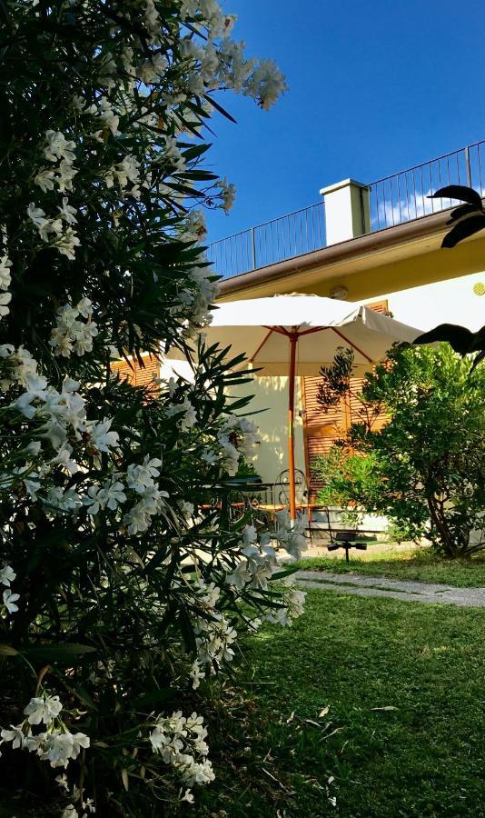 Hotel Casa Pini Cadenabbia Zewnętrze zdjęcie